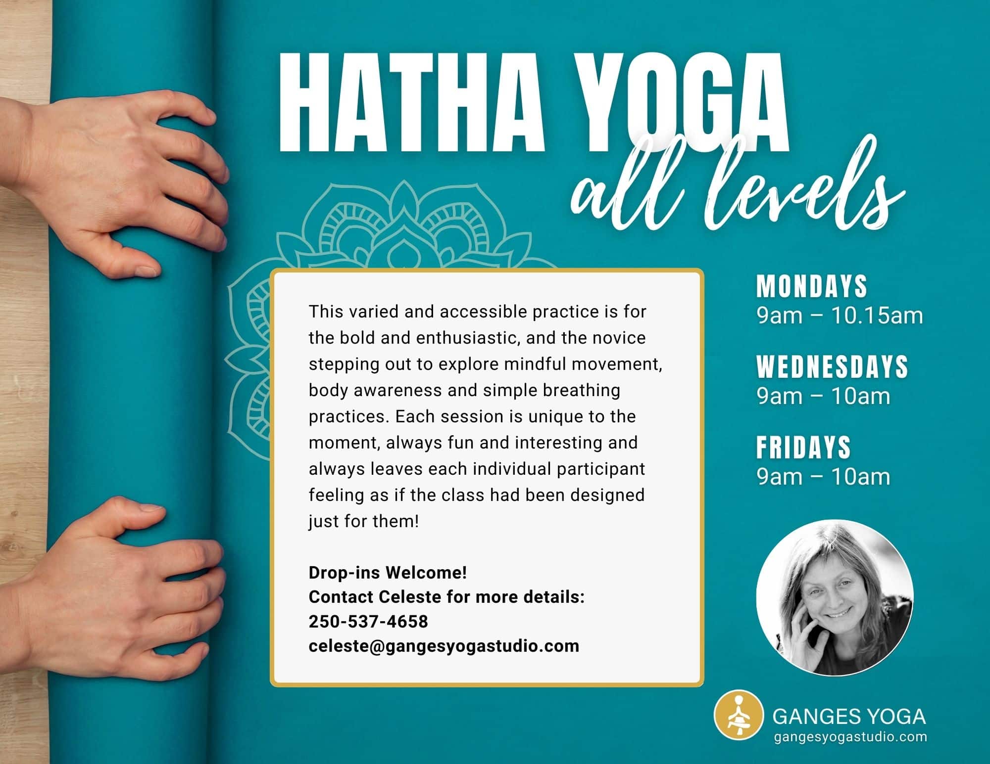 Hatha Yoga All Levels Poster