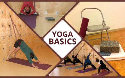 Fall Series: Yoga Basics