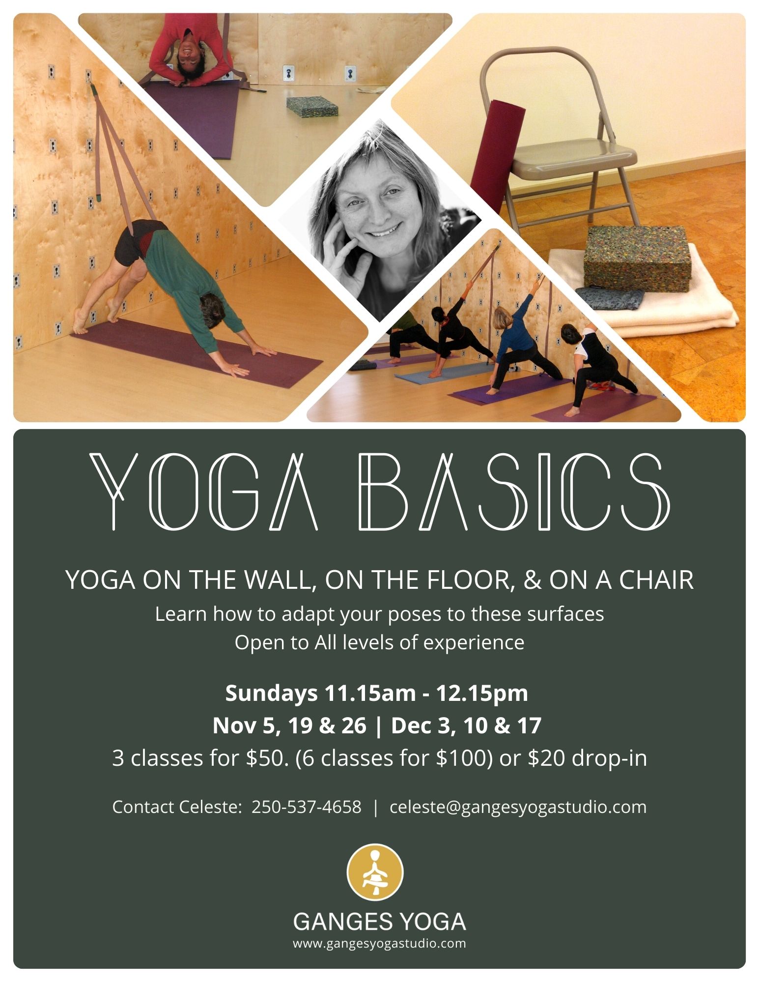 Yoga Basics Poster