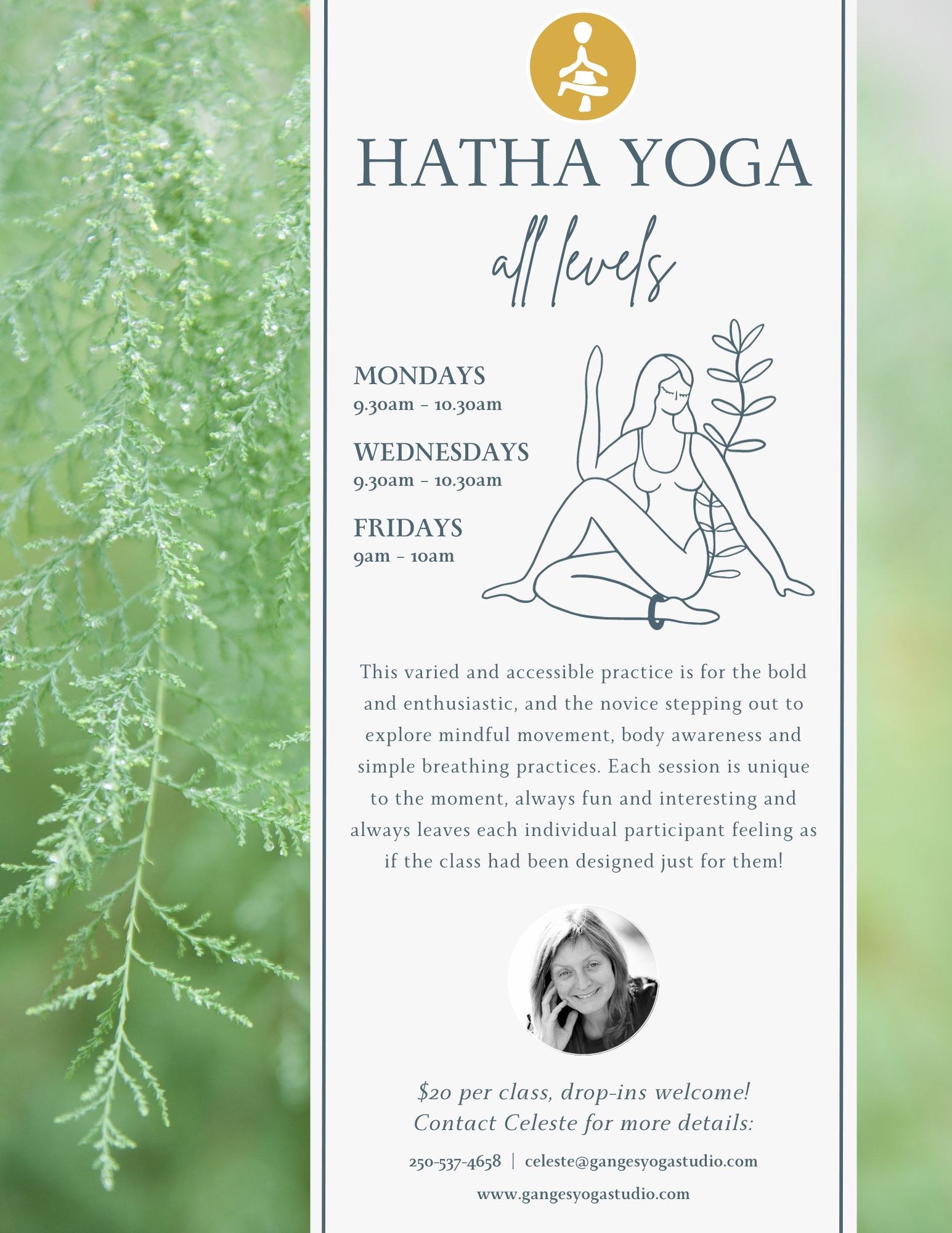 Hatha Yoga All Levels poster