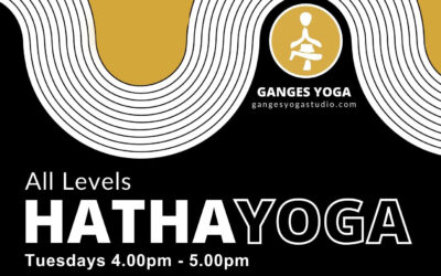 Hatha Yoga: All Levels with John